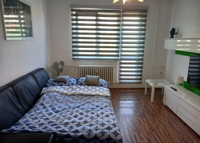 Utulny Nedaleko Centra ברנו